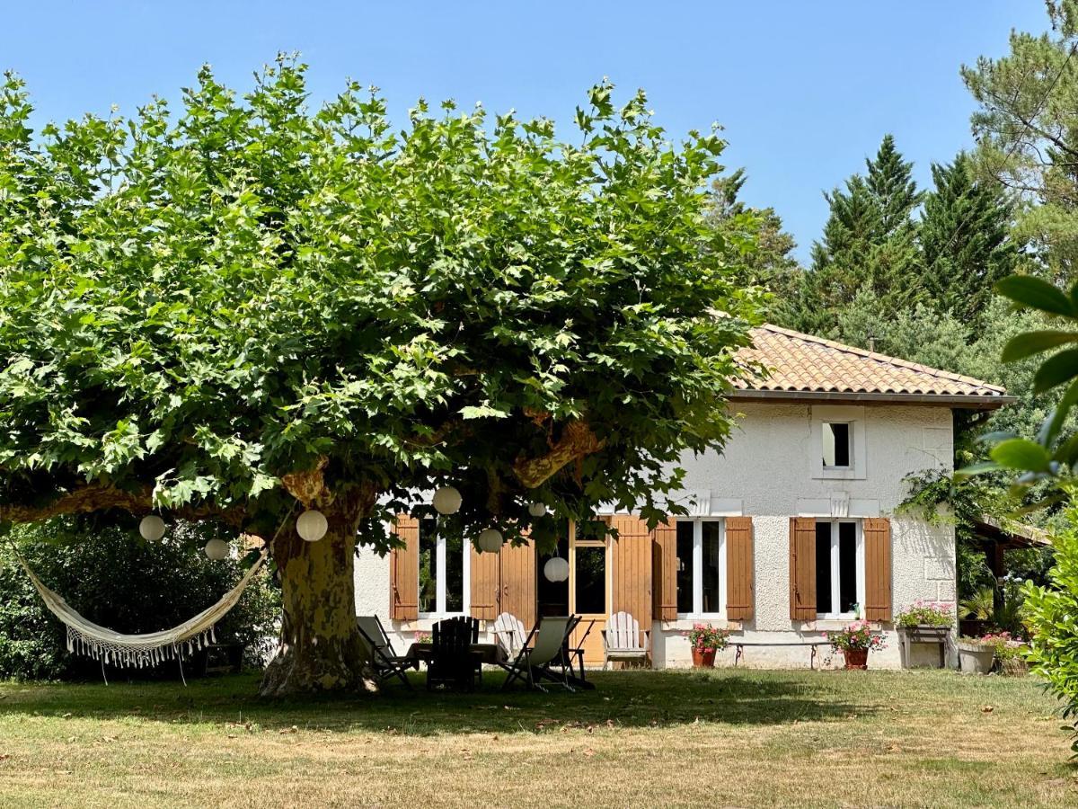 Hotel La Ferme Du Miouat Saint-Julien-en-Born Esterno foto