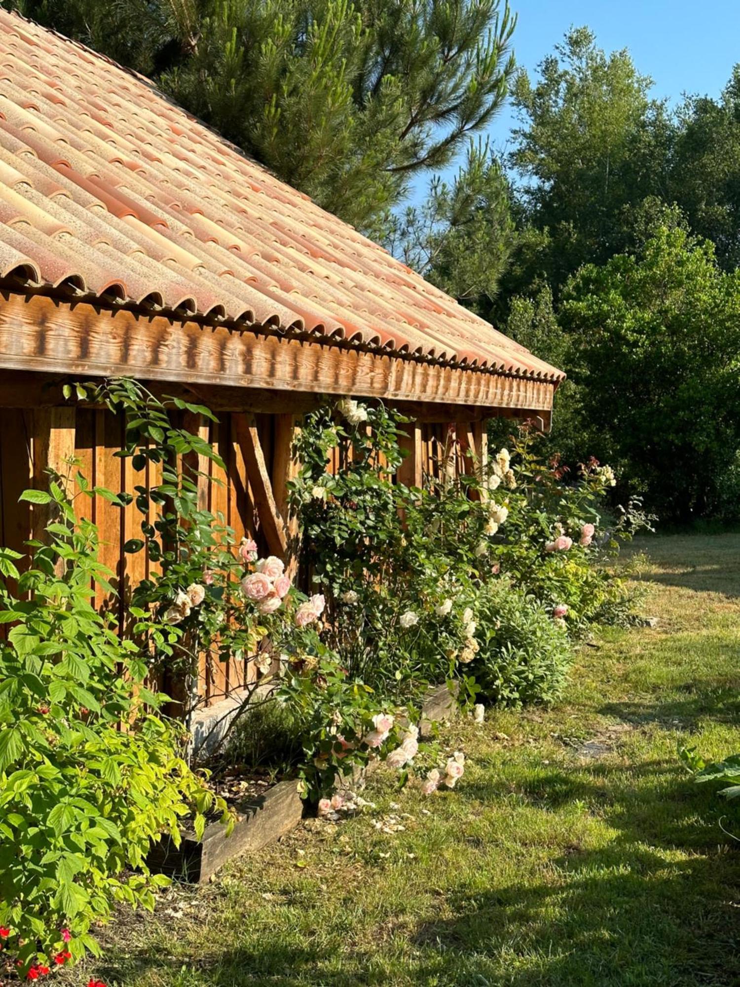 Hotel La Ferme Du Miouat Saint-Julien-en-Born Esterno foto